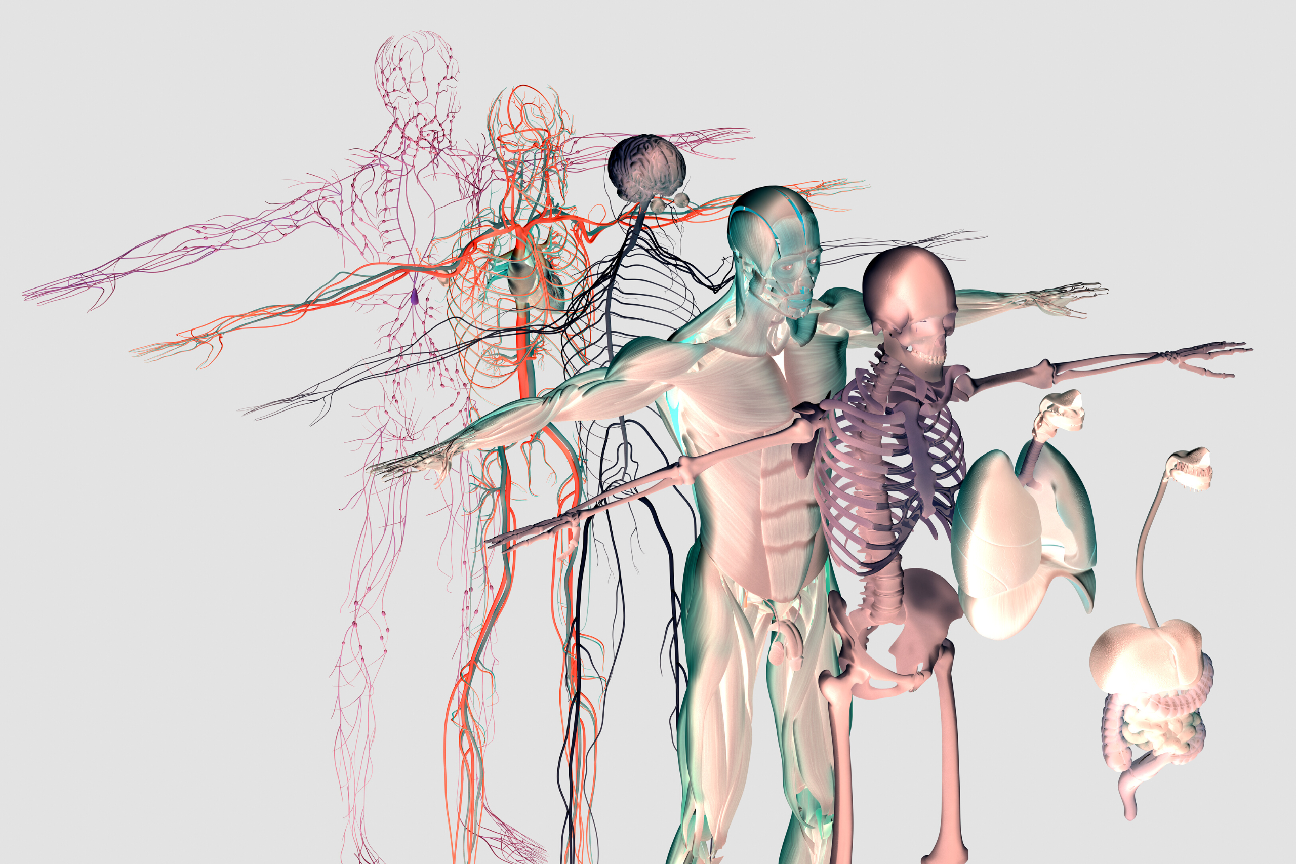 Paris,Massage,Massage Deep Tissue,Massage Deep Tissu,Massage a paris,deep tissue massage near me,deep tissu massage,deep tissue massage paris,deep tissu,deep tissue,deep tissue thai massage,deep tissue paris,massage Paris 10,Massage Paris 6,massage paris 5,massage et bien-être,massage fascia paris,massage seine saint denis,massage le blanc mesnil,massage 93,massage paris centre,good deep tissue massage near me,myofascial release near me,myofascial massage near me,myofascial release therapy near me