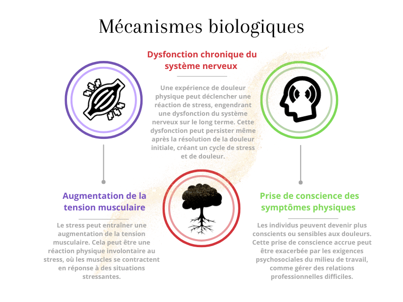 Schéma des mécanismes biologiques illustré