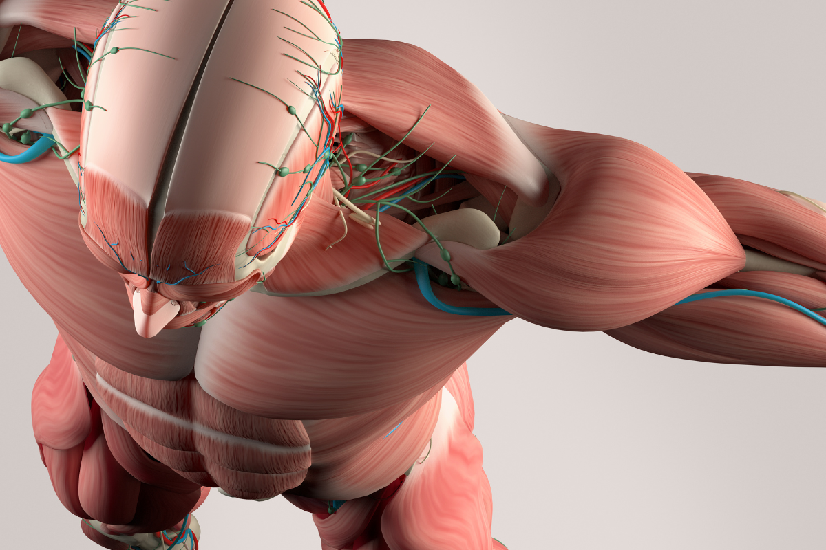 Image de Nicolas Luc ève, blogueur et entrepreneur français